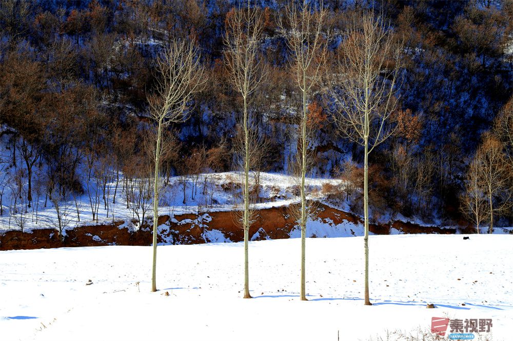 寇群利压缩_20251006210152 (13).jpg