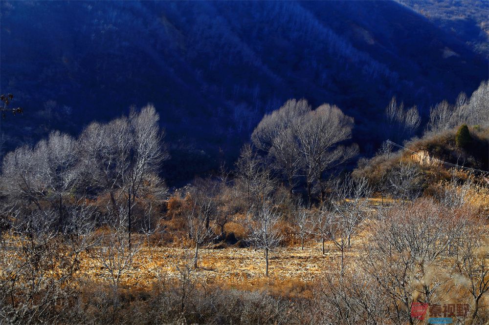 寇群利压缩_20251006210152 (15).jpg