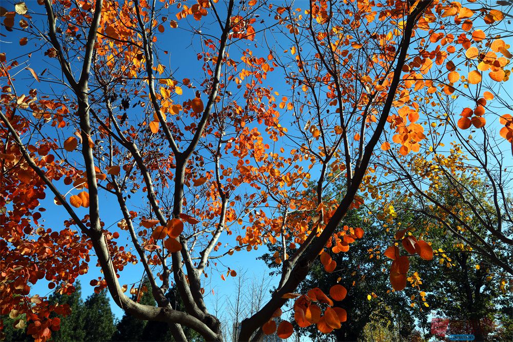 寇群利压缩 _20250930104945_28_704 (1).jpg