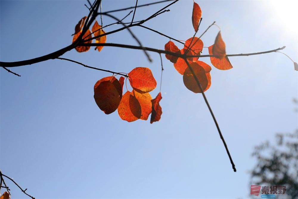 寇群利压缩 _20250930104945_28_704 (2).jpg