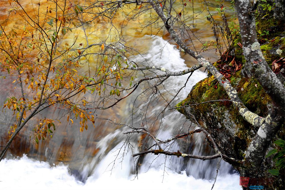 寇群利压缩 _20250930104945_28_704 (3).jpg