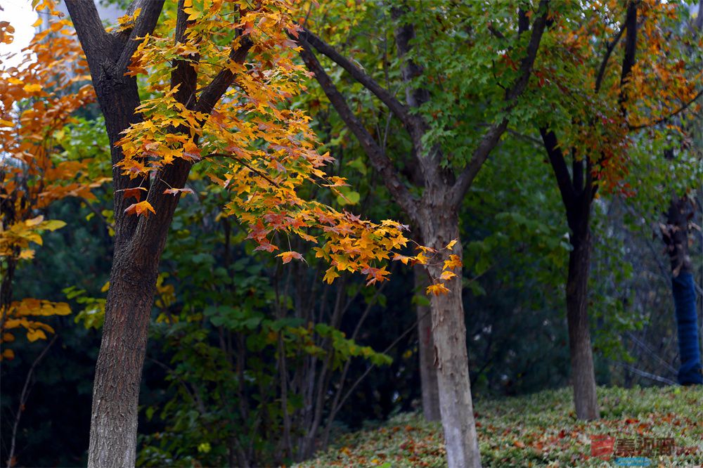 寇群利压缩 _20250930104945_28_704 (4).jpg