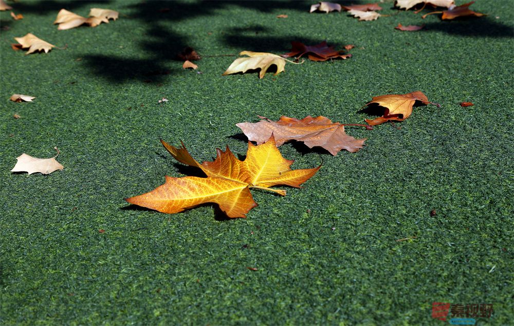 寇群利压缩 _20250930104945_28_704 (6).jpg