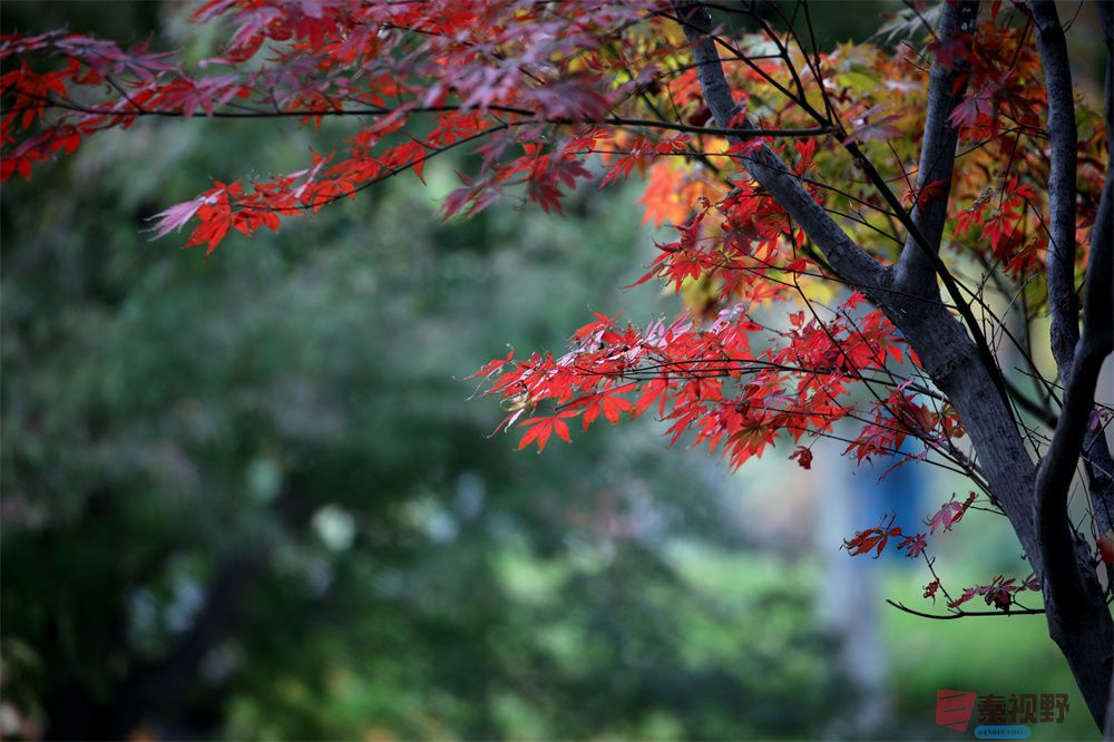 寇群利压缩 _20250930104945_28_704 (5).jpg