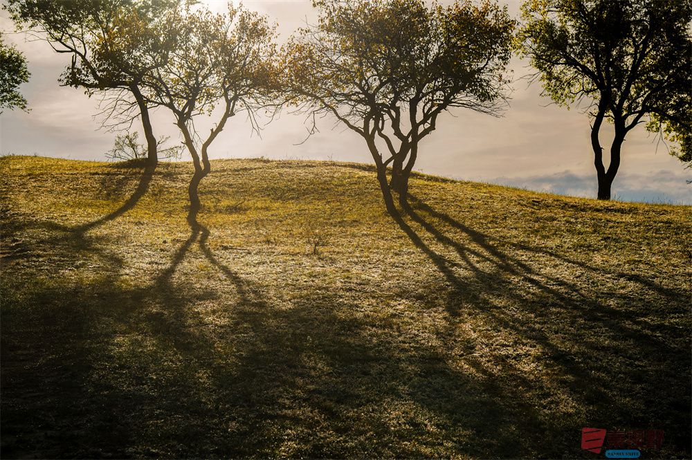 肖宝清_20251009101017_4_154 (1).jpg