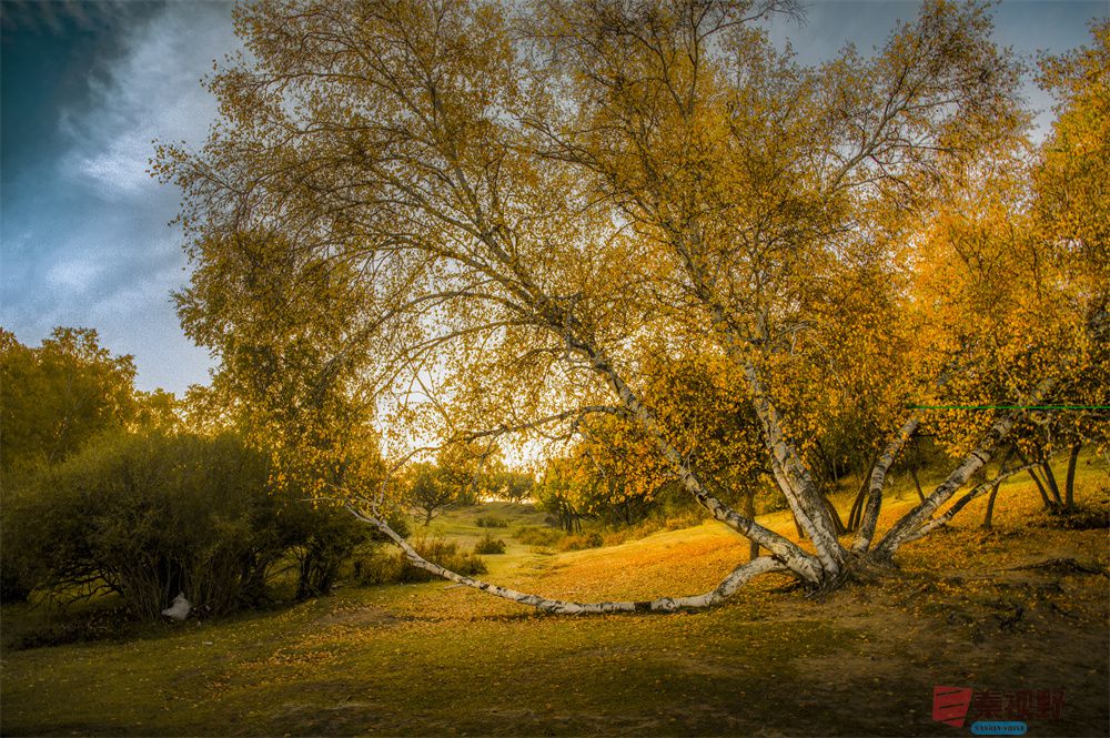 肖宝清压缩_20251007230100 (4).jpg