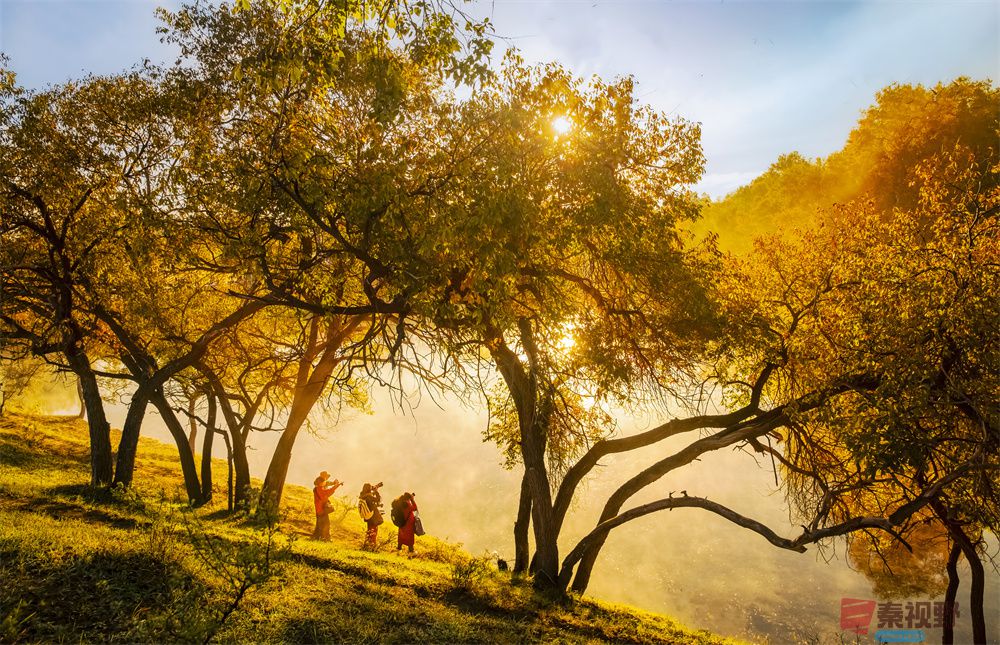 <strong>大漠风光【摄影肖宝清】</strong>