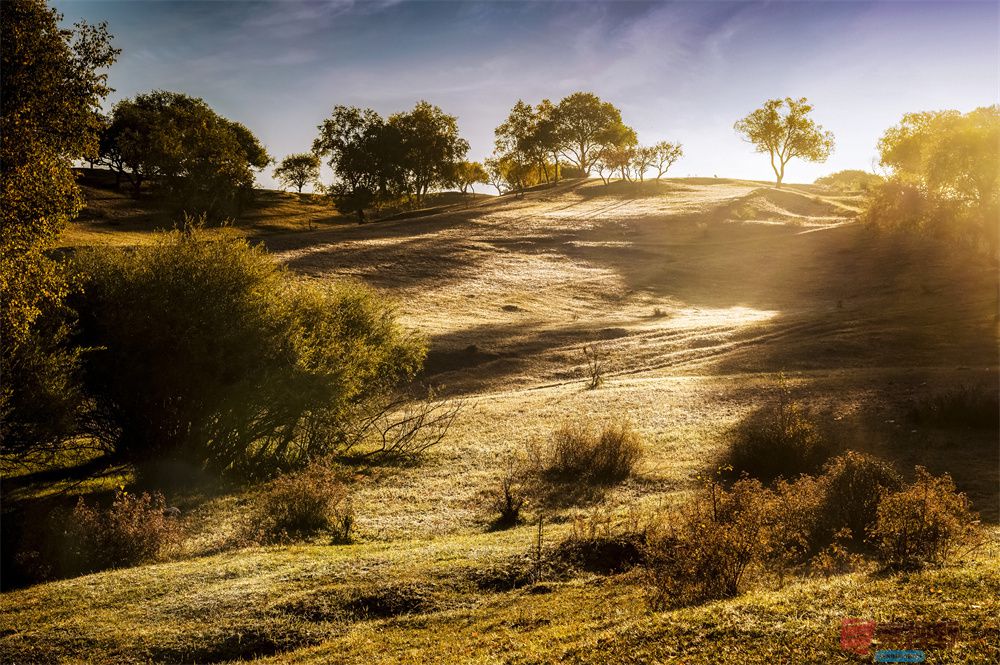 肖宝清压缩_20251007230100 (11).jpg