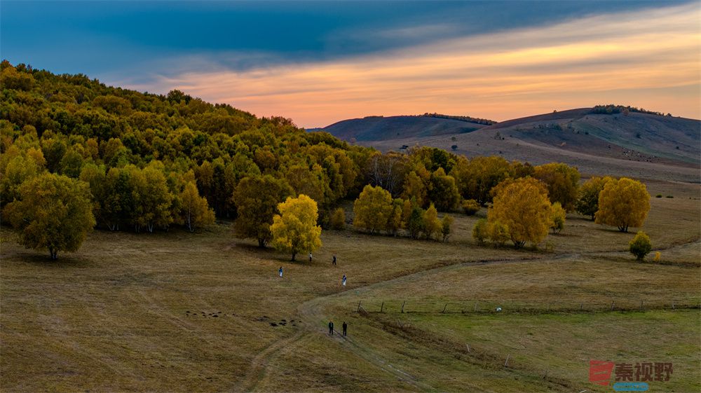 张宝光压缩_20251008184541_1902_463 (17).jpg