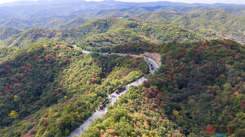 张永平压缩_20251001141129_1824_463 (7).jpg