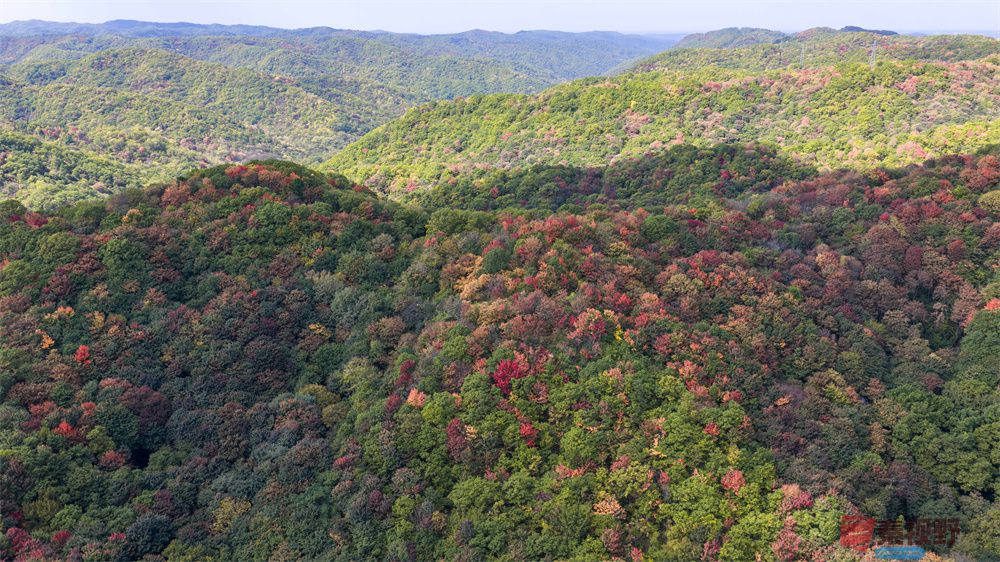 张永平压缩_20251001141129_1824_463 (8).jpg