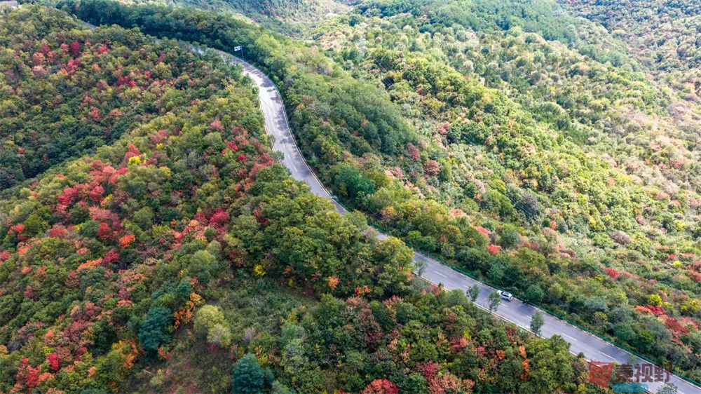 <strong>秋之韵【摄影张永平】</strong>