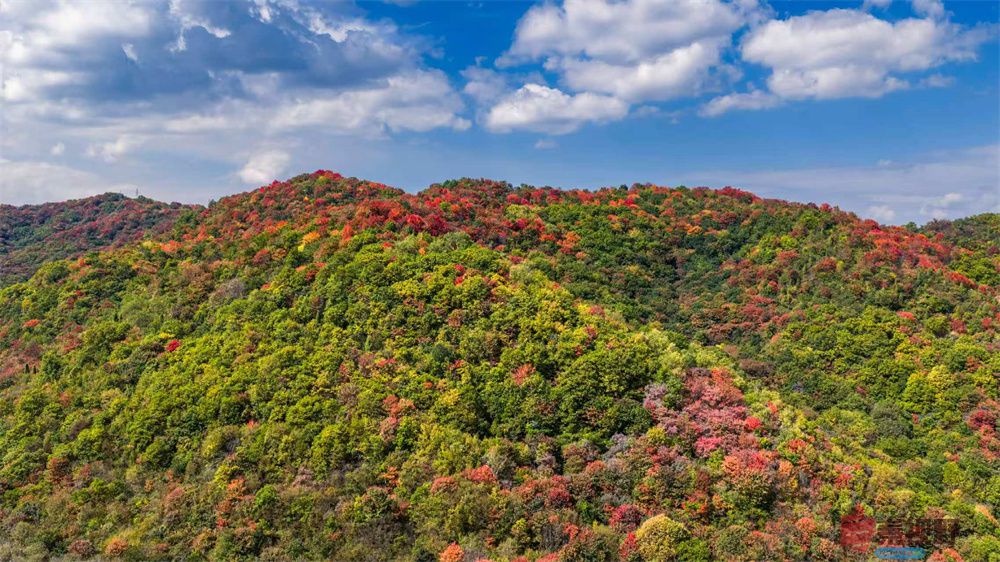 张永平压缩_20251001141129_1824_463 (9).jpg