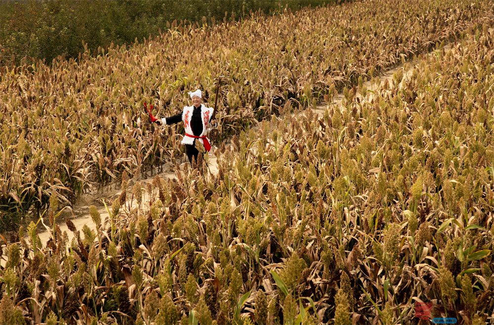 肖宝清压缩_20251010111330_2010_463 (1).jpg