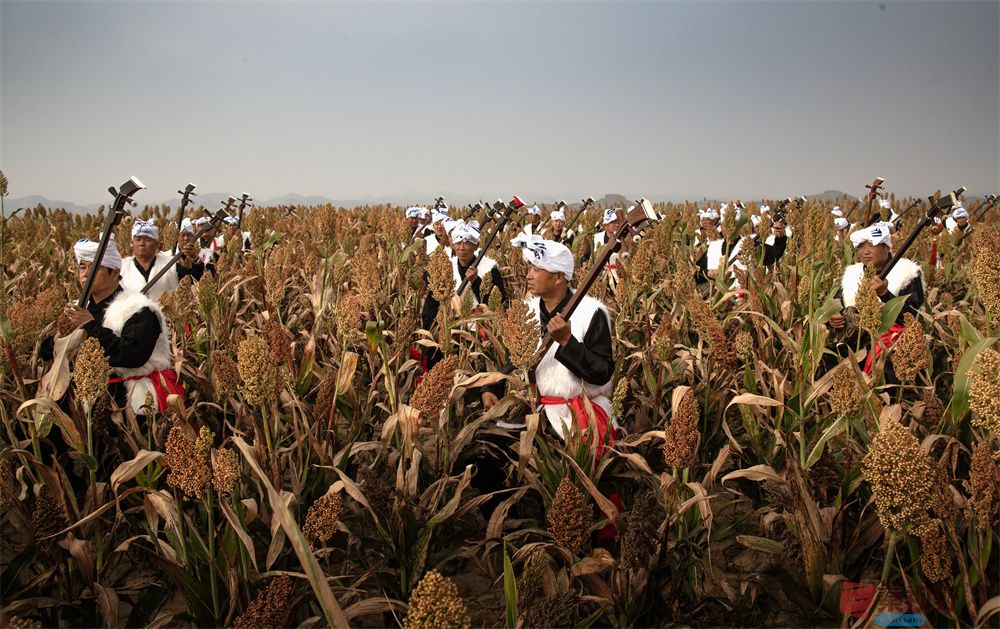 肖宝清压缩_20251010111330_2010_463 (4).jpg