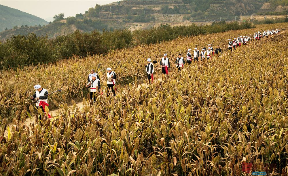 肖宝清压缩_20251010111330_2010_463 (6).jpg