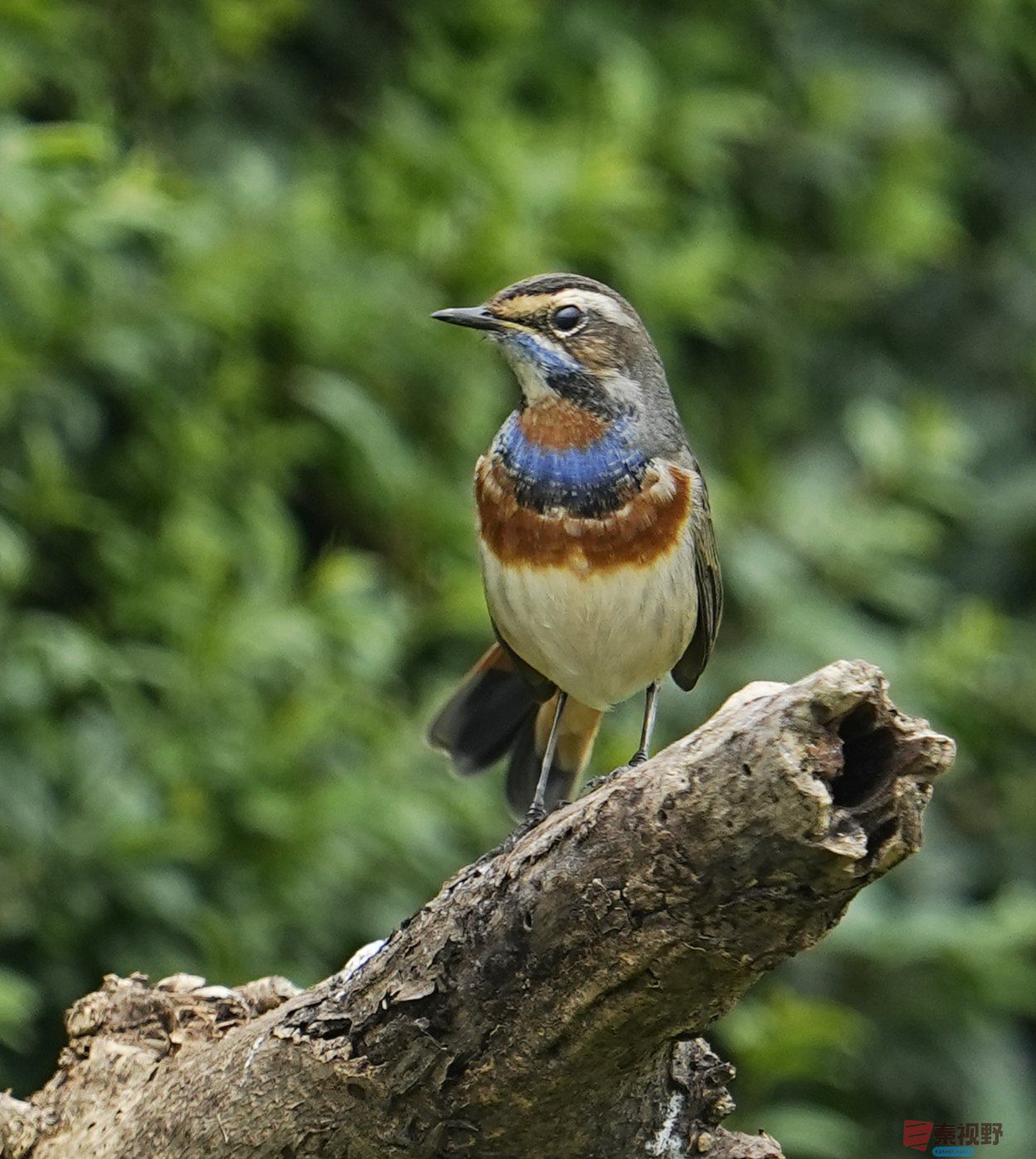 卸凤_20251009222148_1993_463 (1).jpg