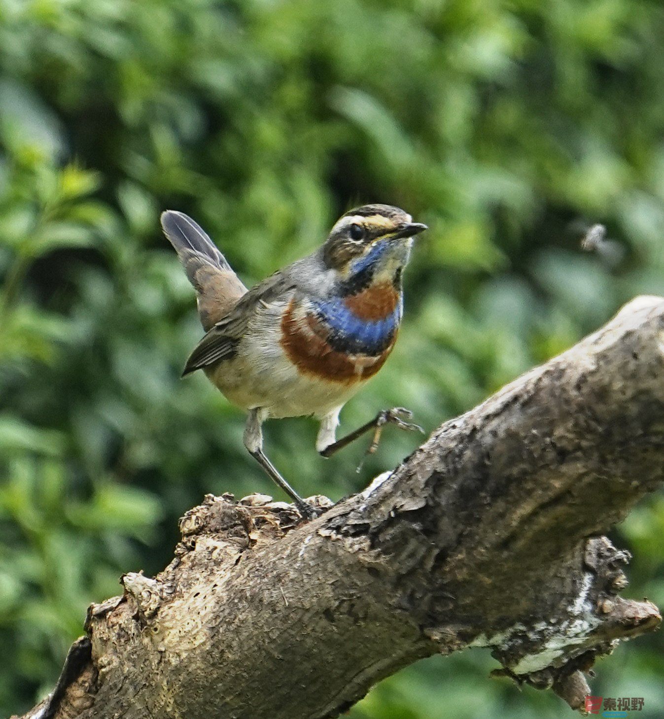 卸凤_20251009222148_1993_463 (6).jpg