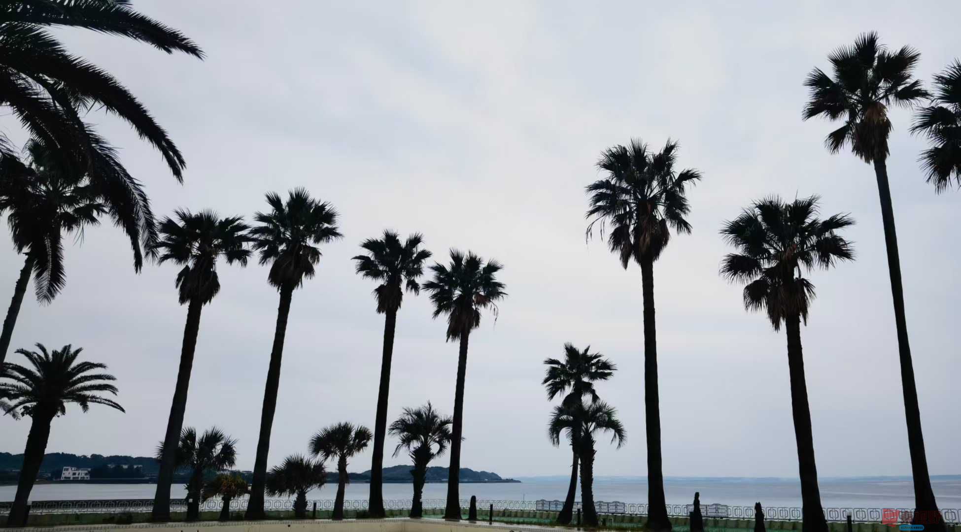 马世国_2025-10-09_221457_222 (5).jpg