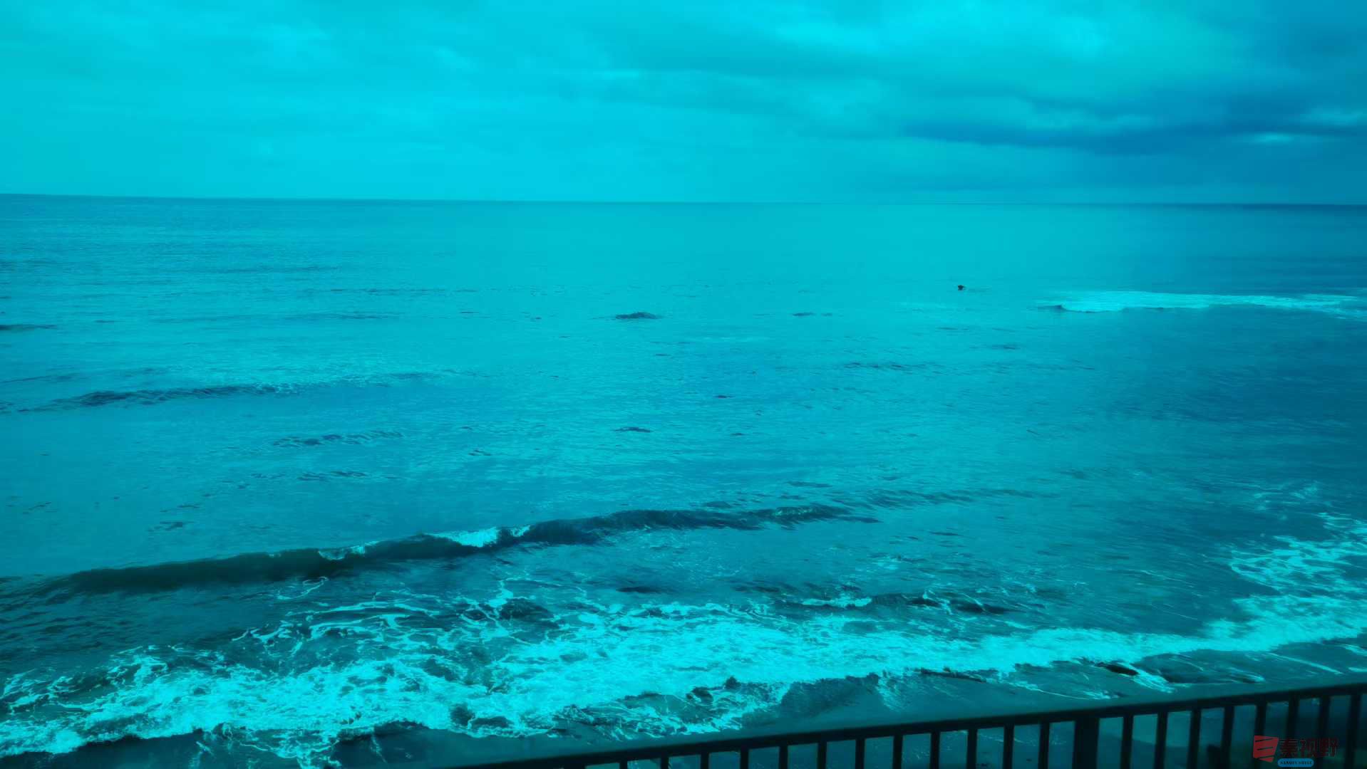 马世国_2025-10-09_221457_222 (8).jpg