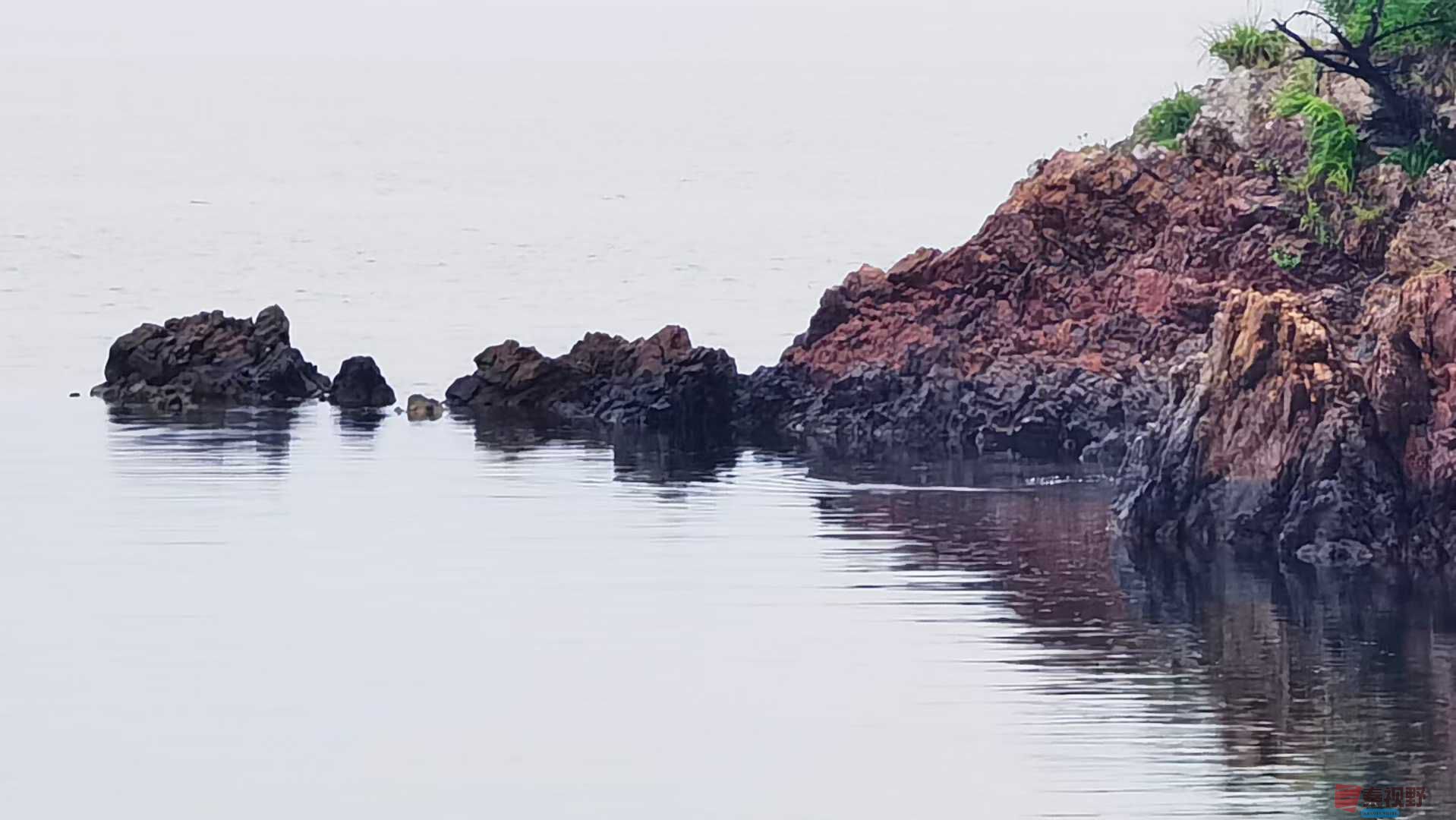 马世国_2025-10-09_221457_222 (9).jpg