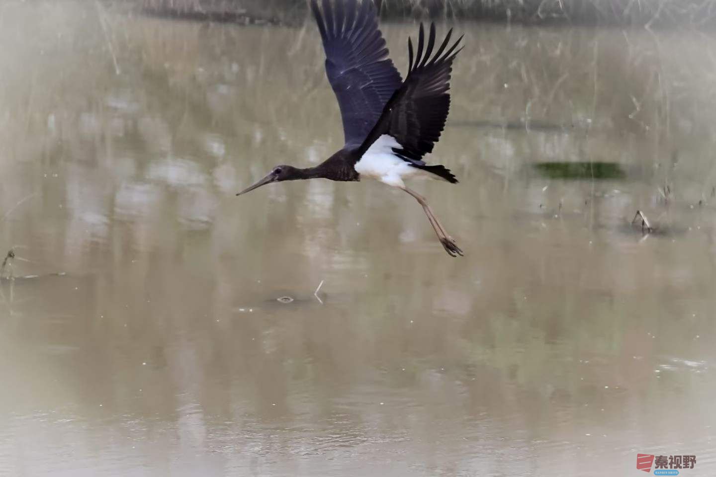 陈耀杰_2025-10-09_220442_912 (7).jpg