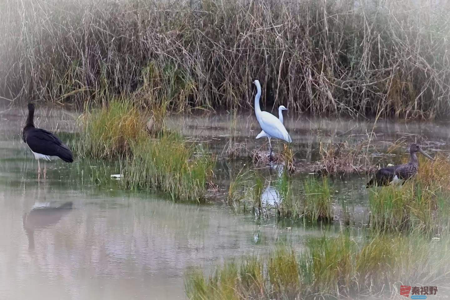 陈耀杰_2025-10-09_220442_912 (2).jpg