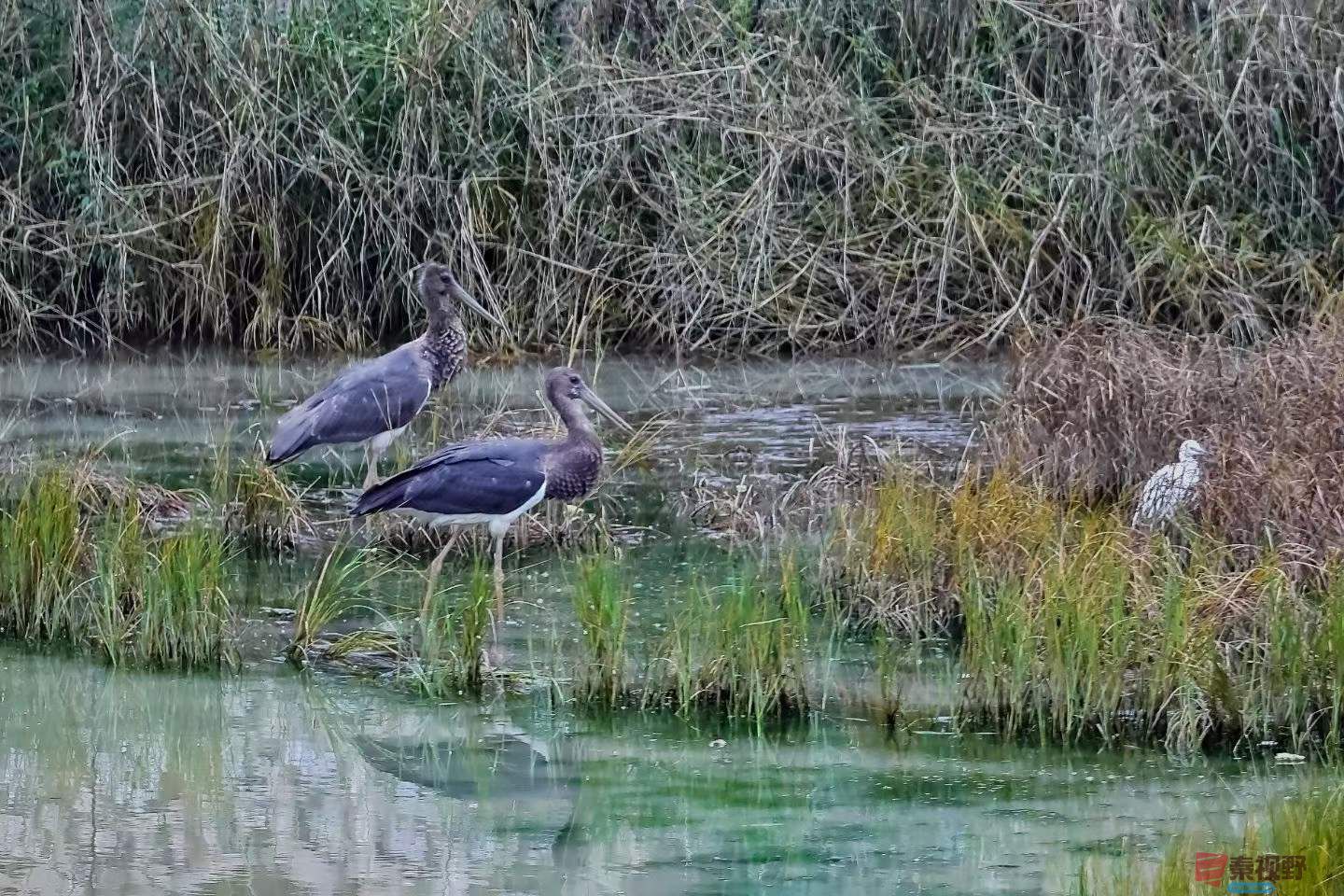 陈耀杰_2025-10-09_220442_912 (3).jpg