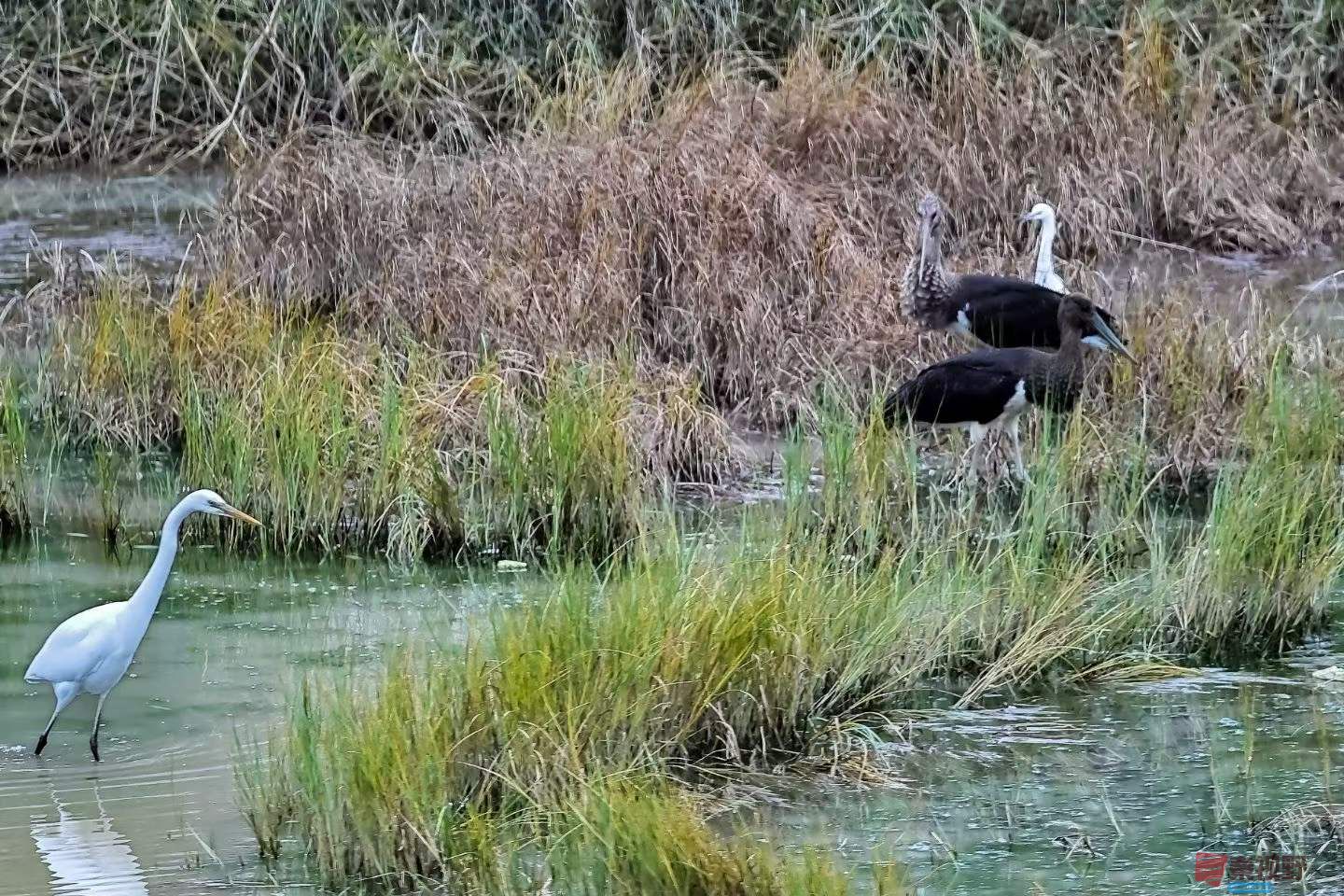 陈耀杰_2025-10-09_220442_912 (5).jpg