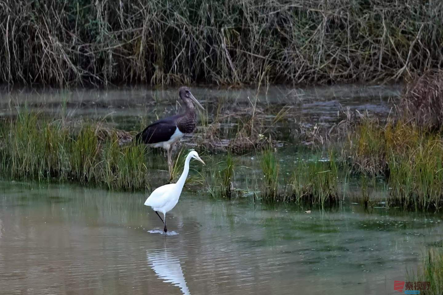 陈耀杰_2025-10-09_220442_912 (4).jpg