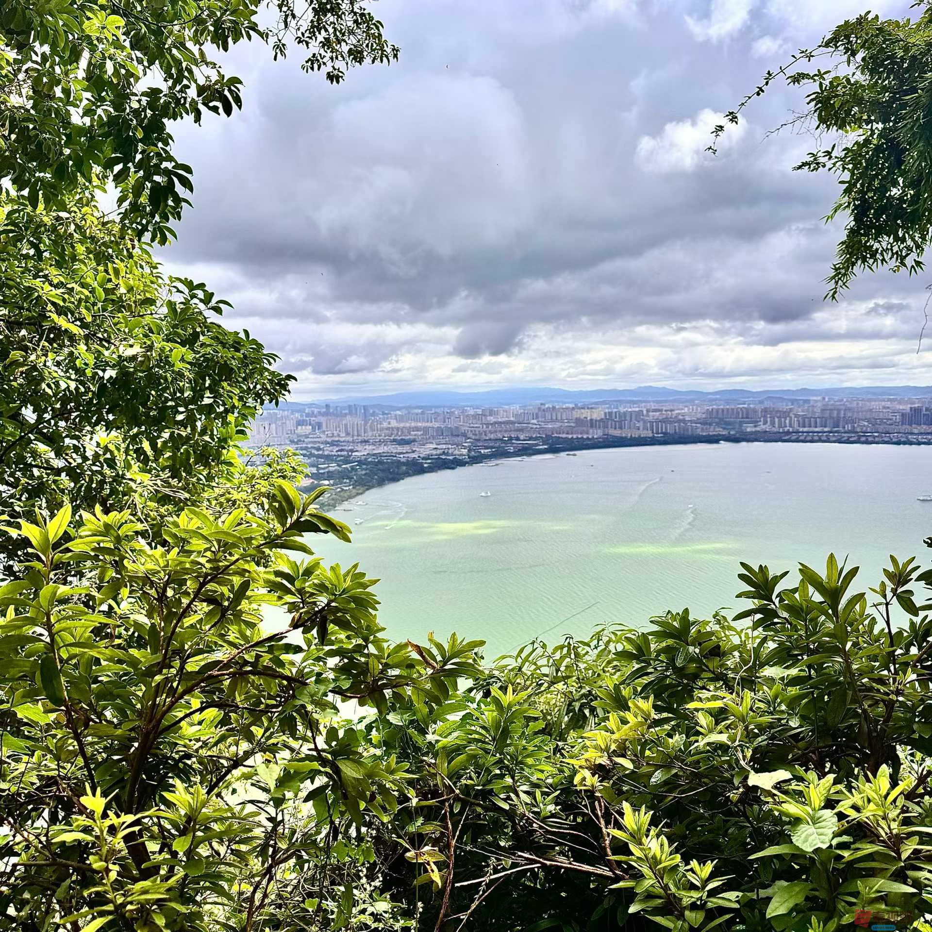 王宇_2025-10-09_220357_703 (2).jpg