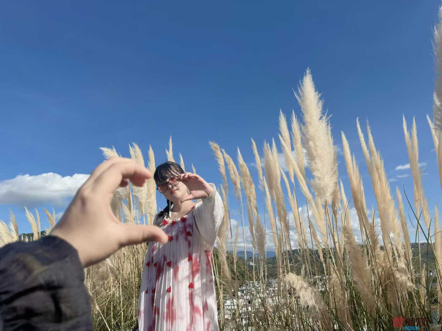 王宇_2025-10-09_220357_703 (8).jpg