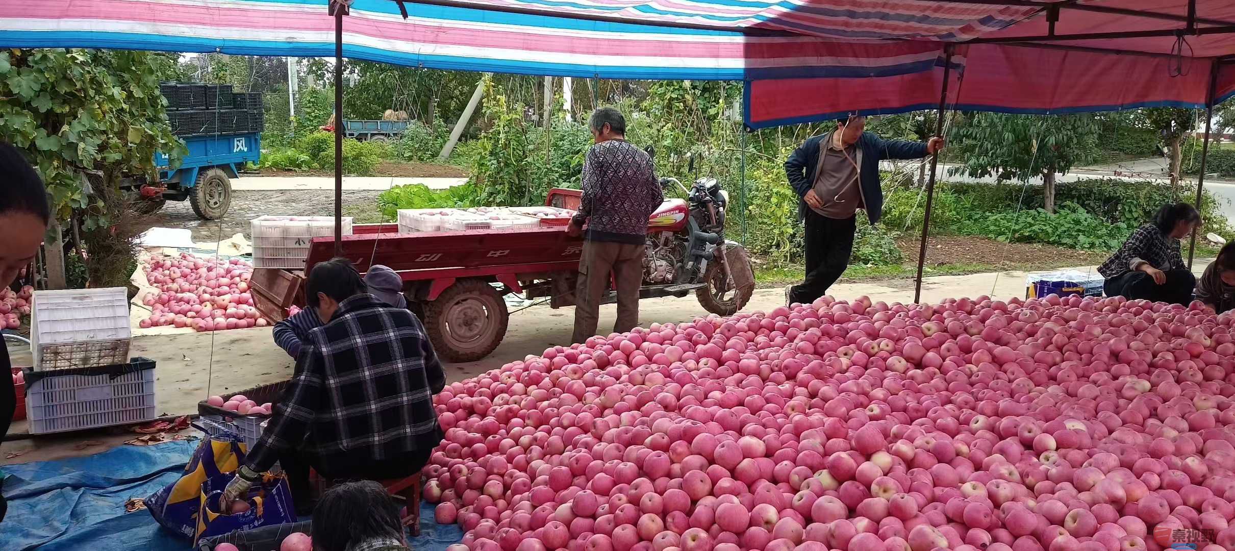 吕炳全_2025-10-09_215453_004 (1).jpg