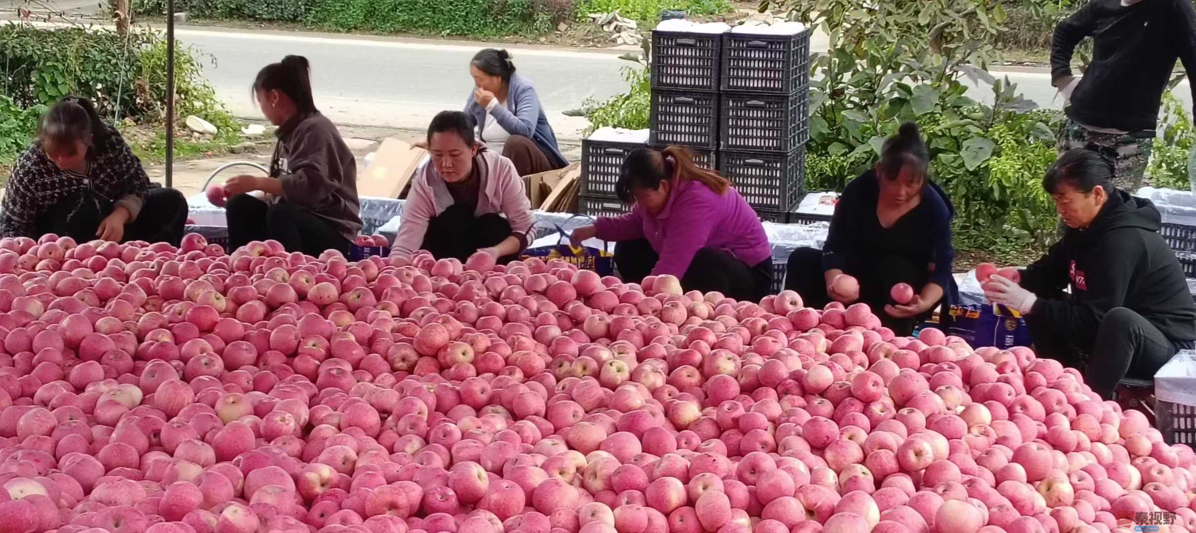 吕炳全_2025-10-09_215453_004 (2).jpg