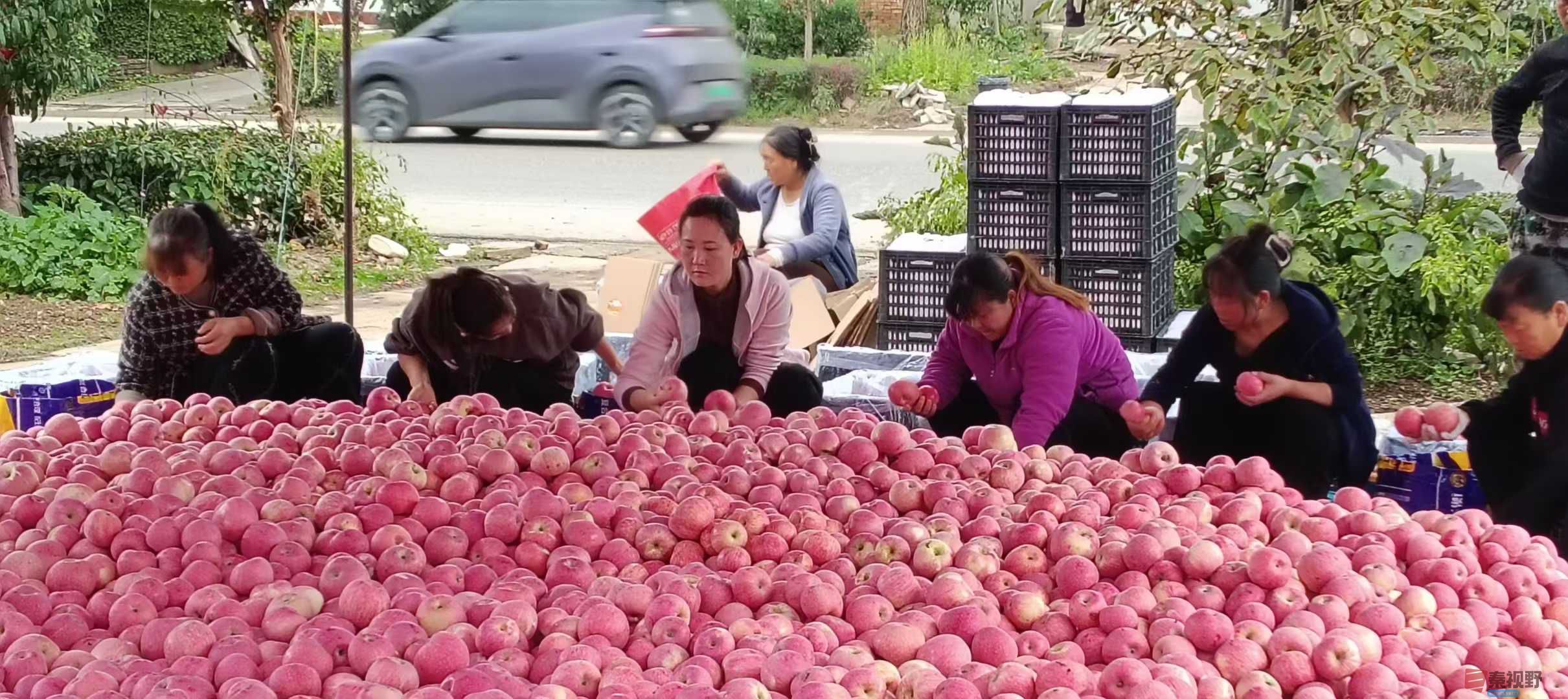 吕炳全_2025-10-09_215453_004 (3).jpg