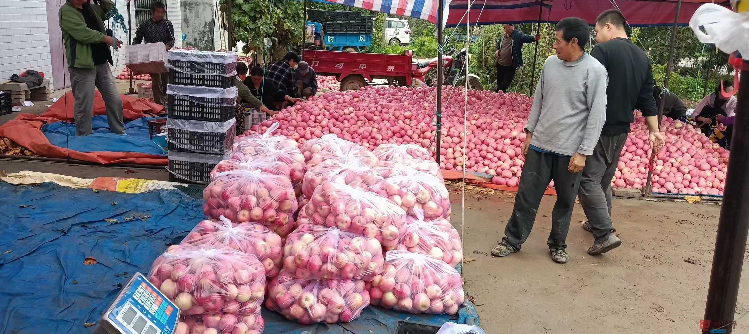 吕炳全_2025-10-09_215453_004 (4).jpg