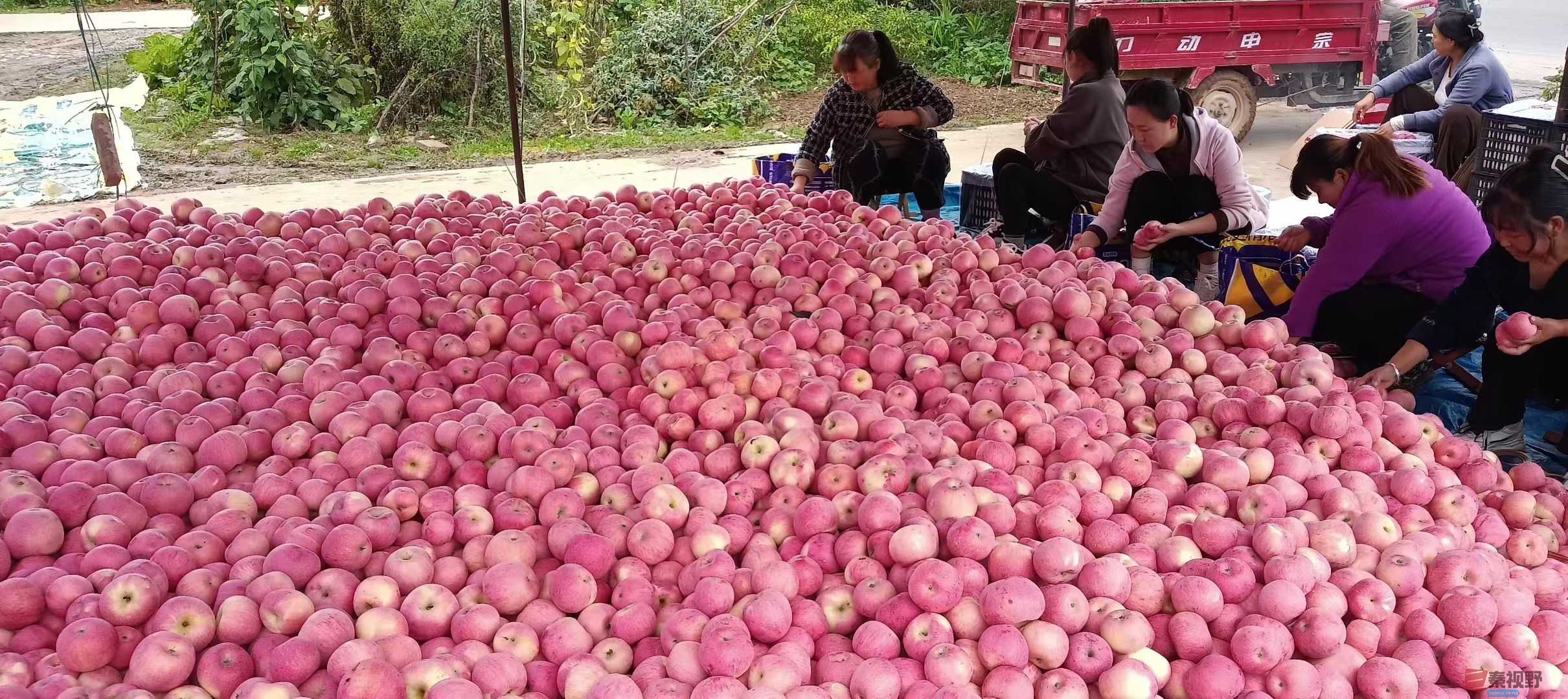 吕炳全_2025-10-09_215453_004 (6).jpg