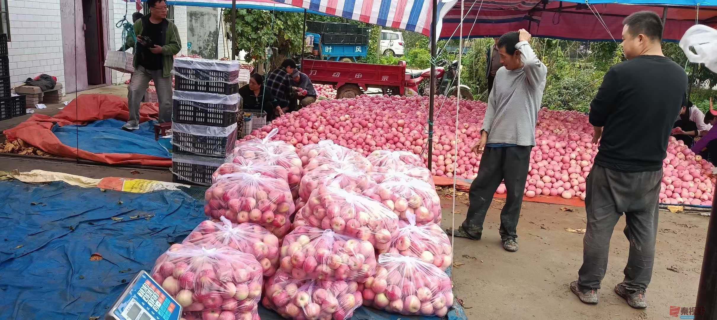 吕炳全_2025-10-09_215453_004 (5).jpg