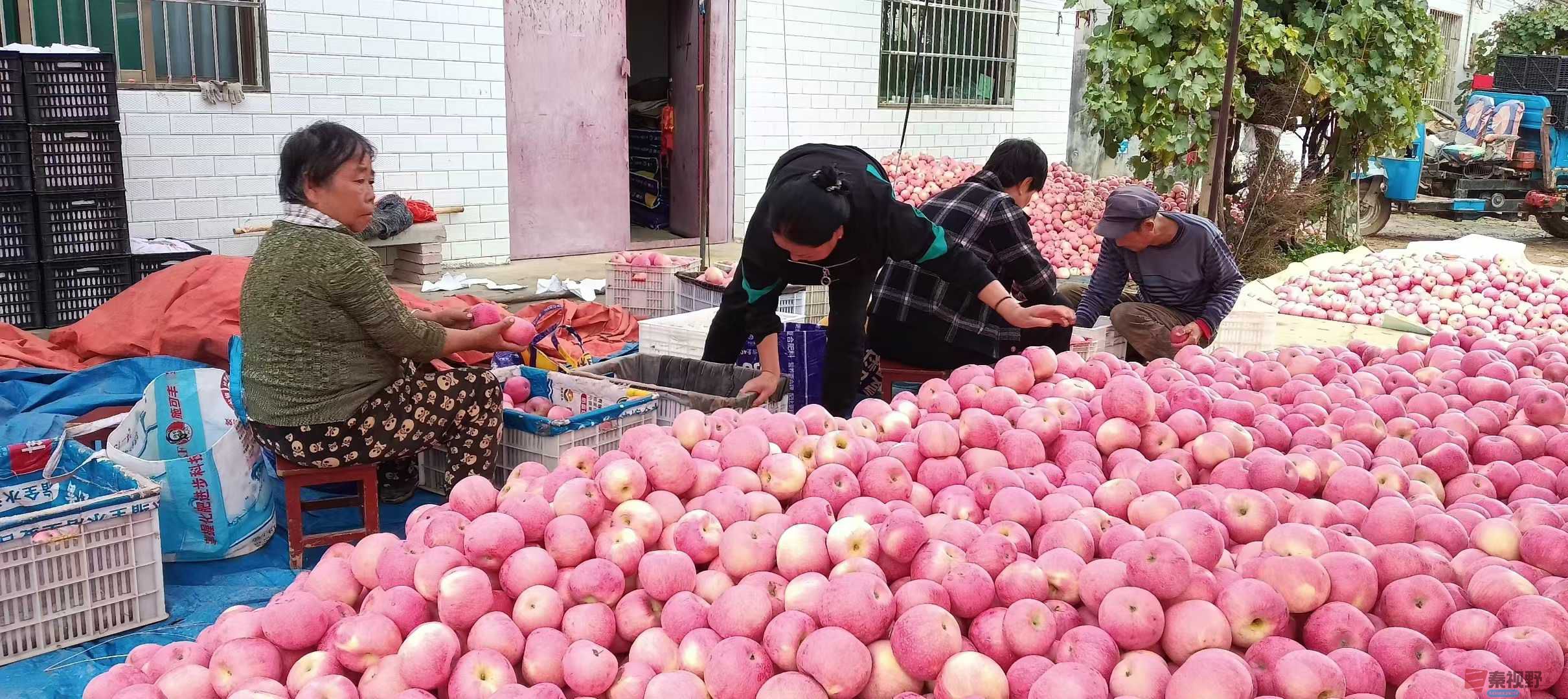 吕炳全_2025-10-09_215453_004 (8).jpg