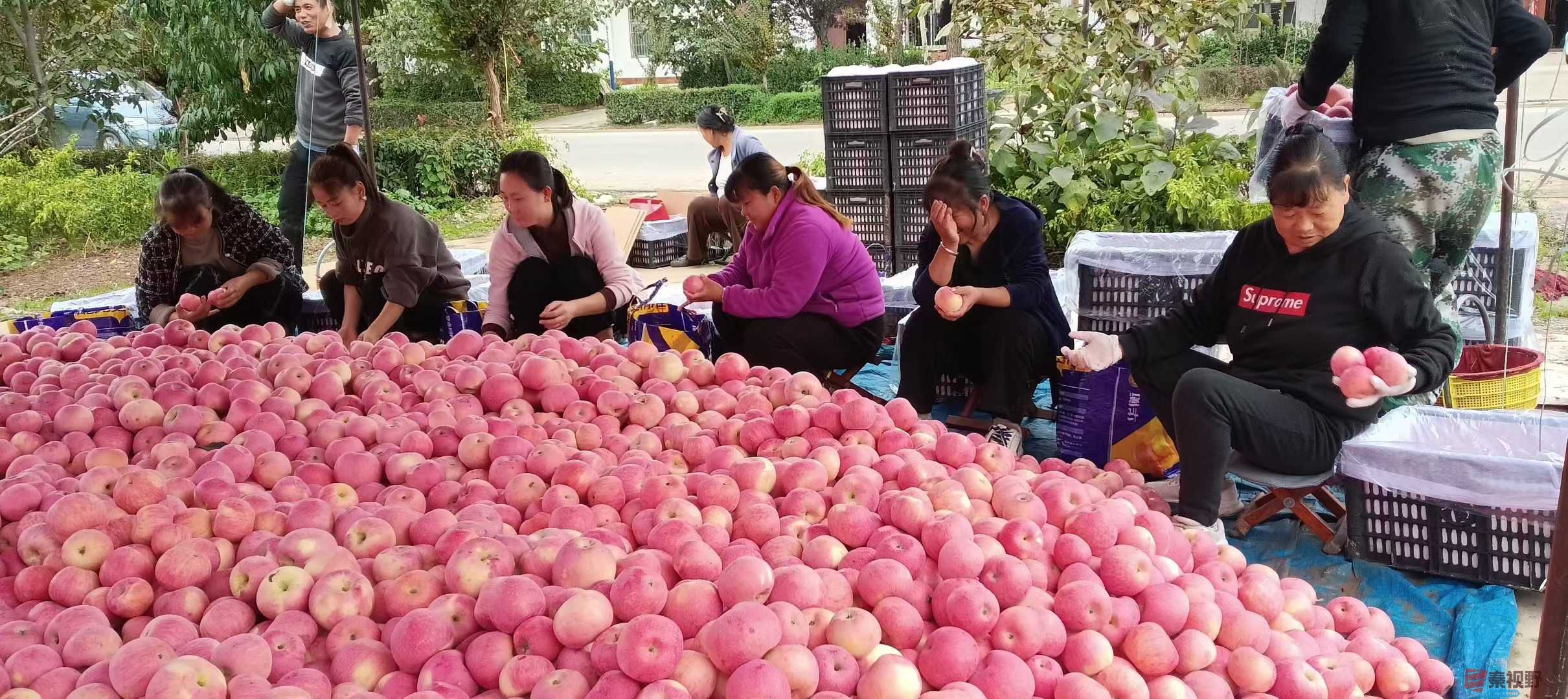 吕炳全_2025-10-09_215453_004 (9).jpg