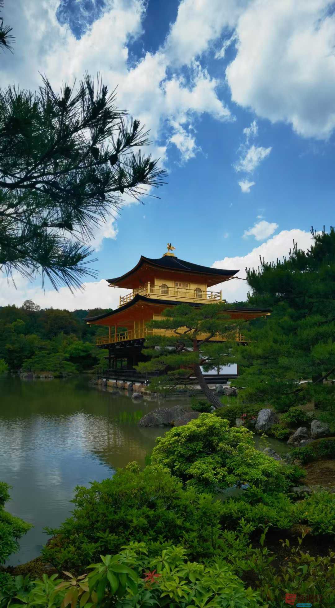 异域风情【摄影马世国】