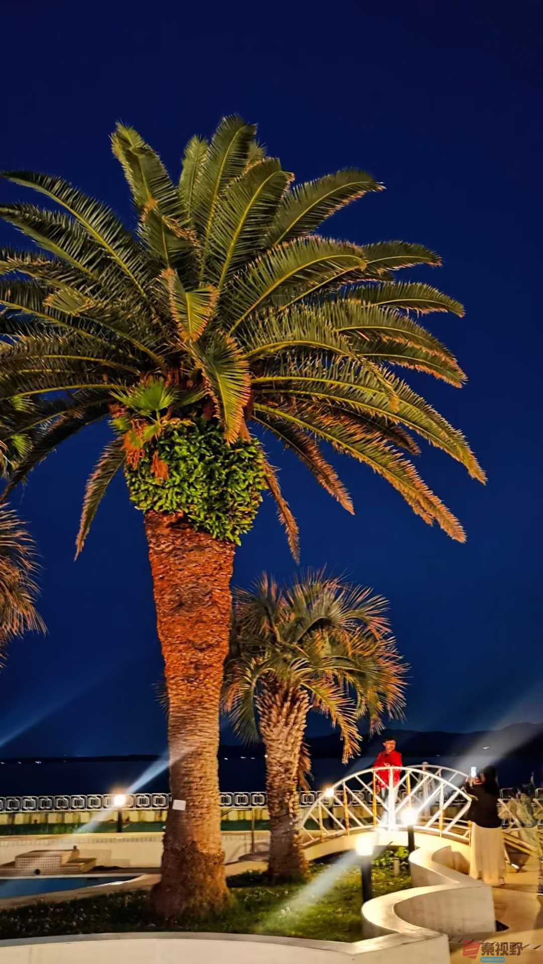 马世国_2025-10-09_215859_101 (6).jpg