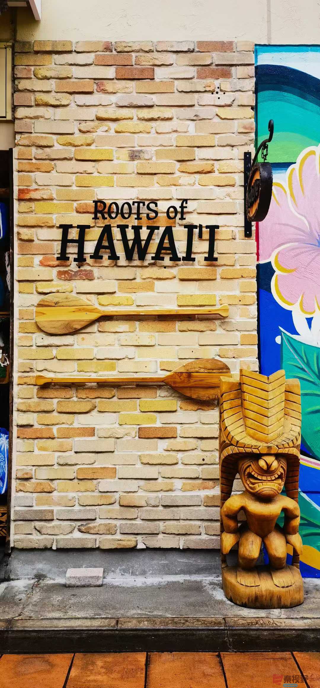 马世国_2025-10-09_215859_101 (8).jpg