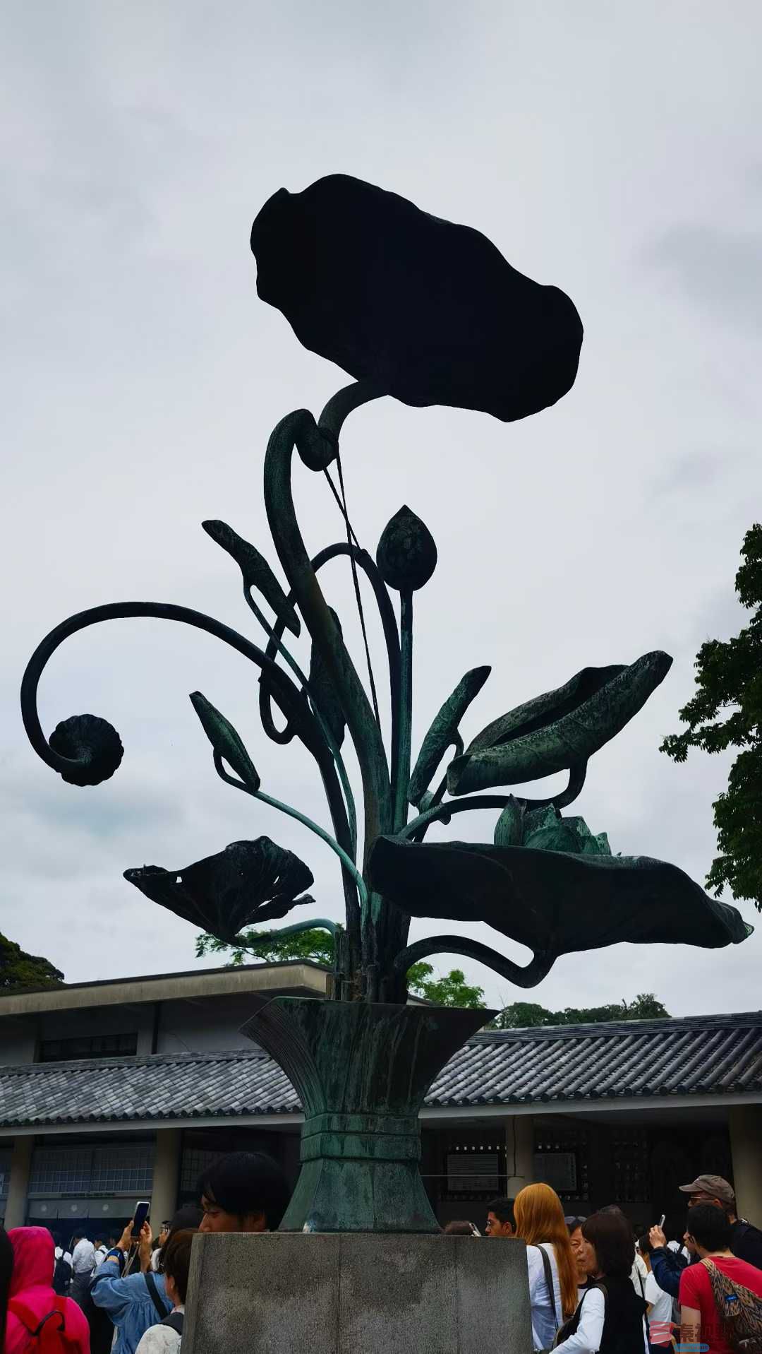 马世国_2025-10-09_215859_101 (7).jpg