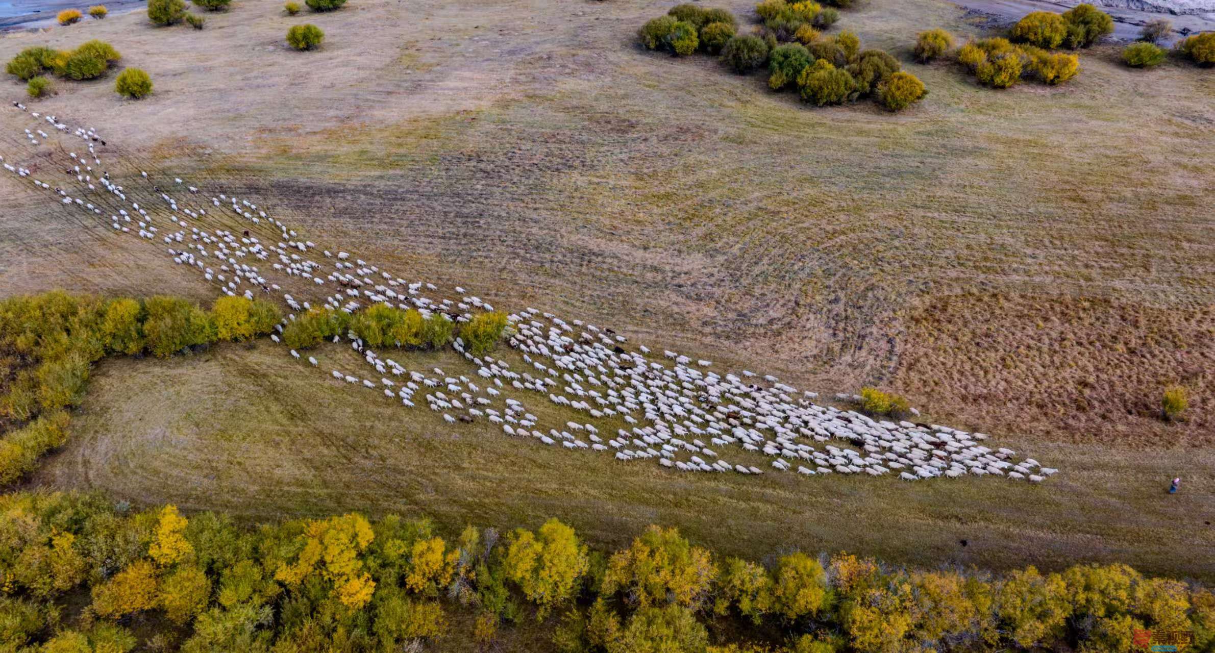 张宝光_2025-10-09_220735_294 (11).jpg