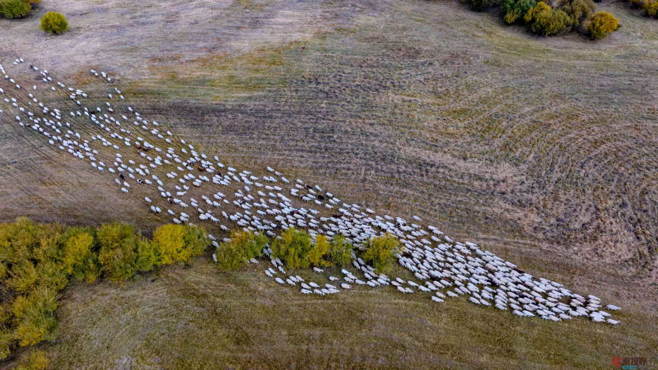 张宝光_2025-10-09_220735_294 (12).jpg