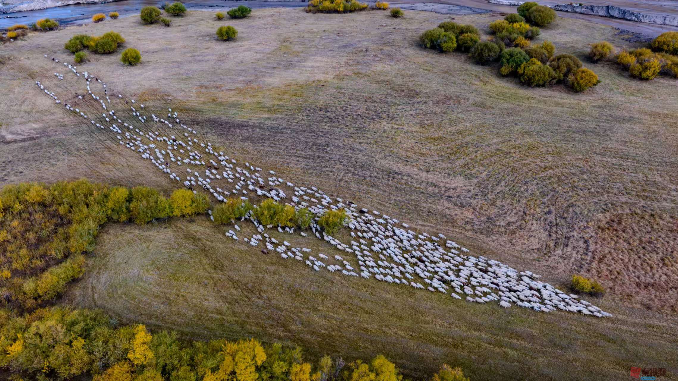 张宝光_2025-10-09_220735_294 (14).jpg