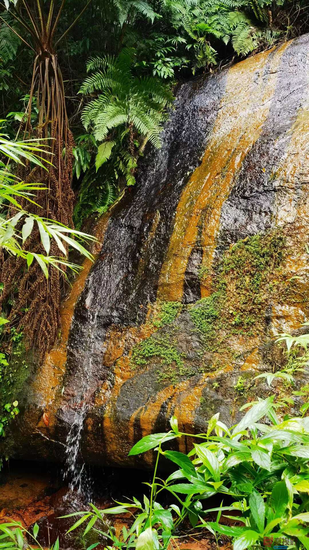 马世国_2025-10-11_093430_367 (1).jpg