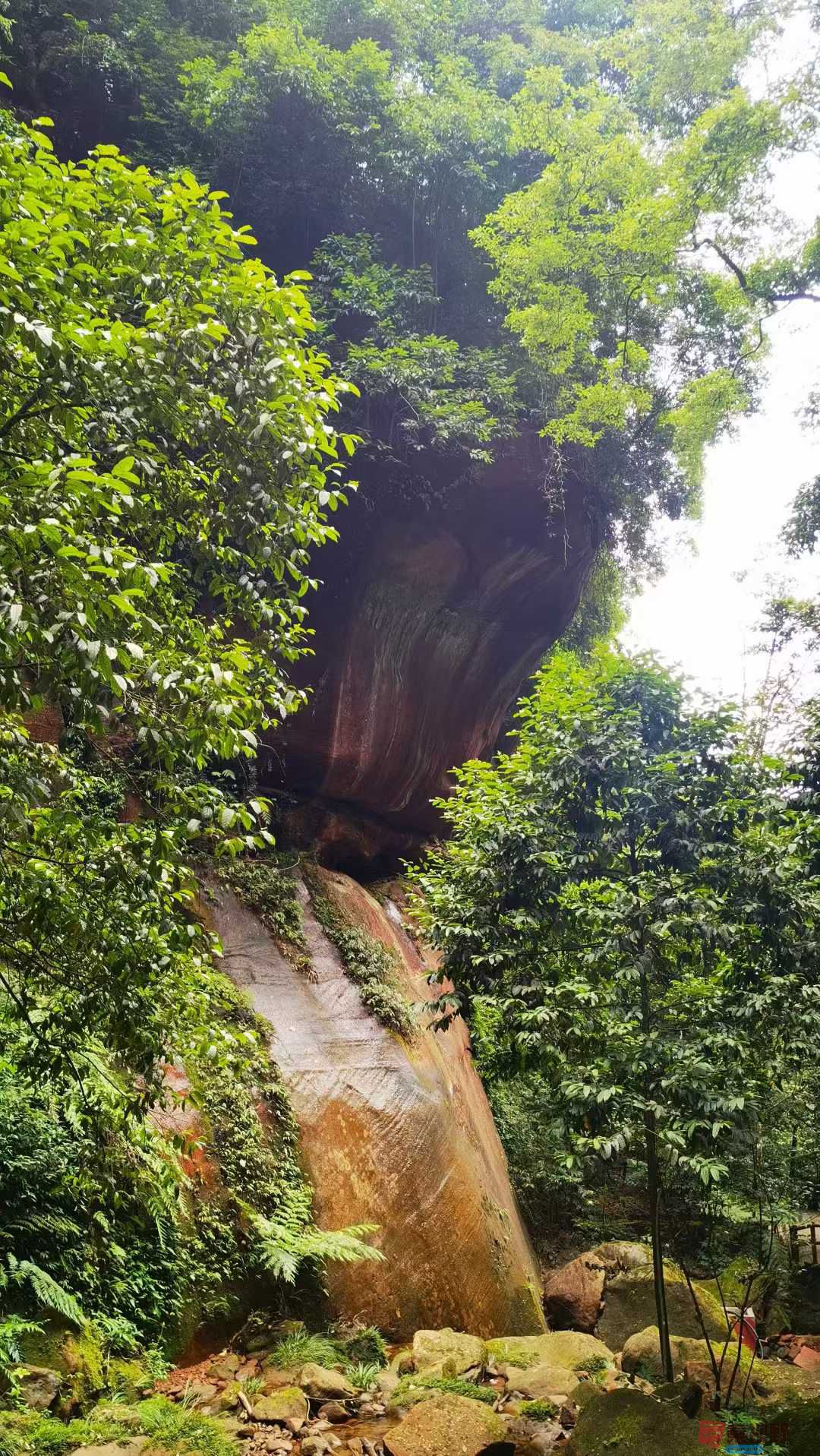 马世国_2025-10-11_093430_367 (3).jpg