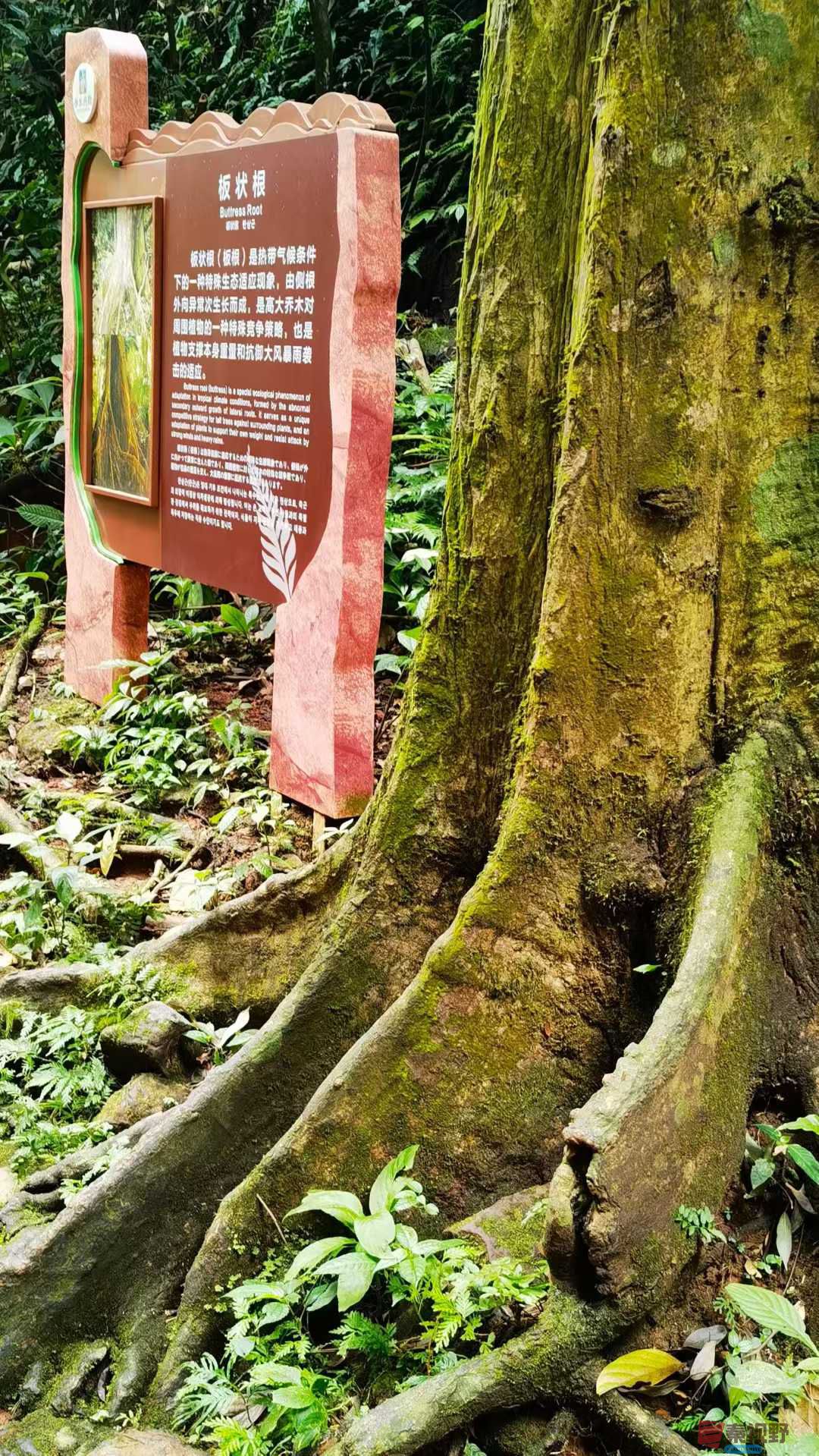 <strong>赤水拾影【摄影马世国】</strong>